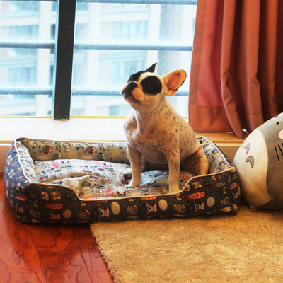 養寵物必備的實用工具，看看你是否準備齊了